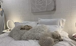 Soyacide's pic #4342010