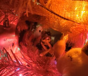 PDoctress's pic #3644333