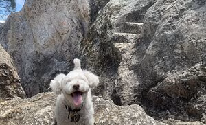 Soyacide's pic #4341949