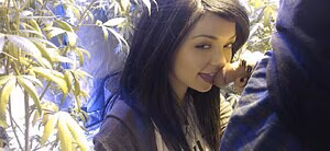 Soyacide's pic #4341850