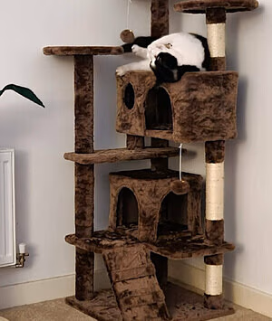 Sulis_minerva's pic #4429315