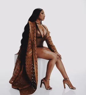 Megan Thee Stallion's pic #3085461