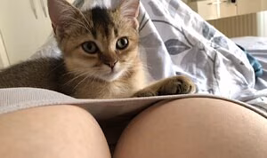 Cheryl Pride's pic #938009