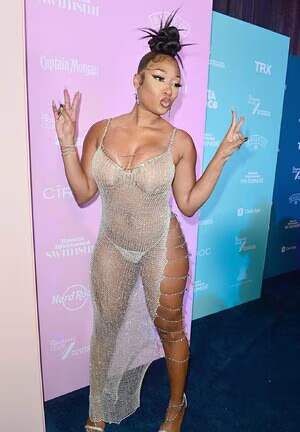 Megan Thee Stallion's pic #3085093