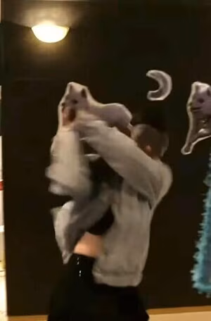 LilyPichu's pic #2727430