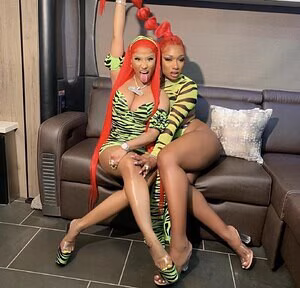 Megan Thee Stallion's pic #3085297