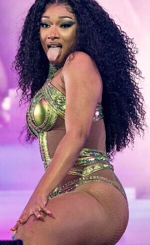 Megan Thee Stallion's pic #3085495
