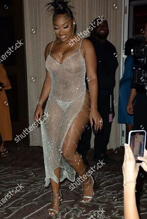 Megan Thee Stallion's pic #3085159