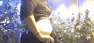 Soyacide's pic #4341847