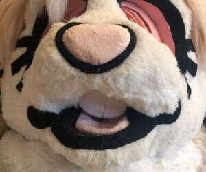 PDoctress's pic #3644396