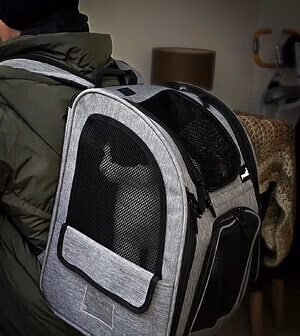 Sulis_minerva's pic #4429310