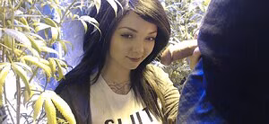 Soyacide's pic #4341866