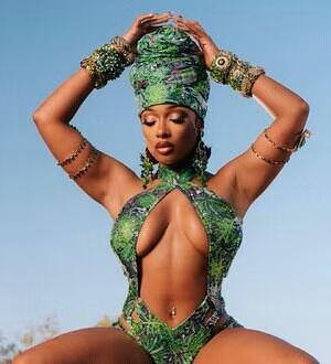 Megan Thee Stallion's pic #3085657