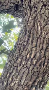 kylierose's pic #fy_686824748318990338_2