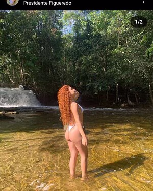 Gatas De Manaus's pic #1645058