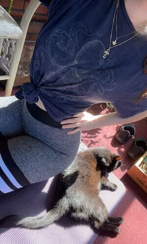 Herbivorewh0revip's pic #1855523