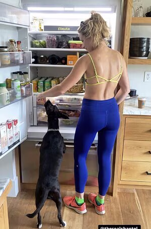 Shantel VanSanten's pic #4191650