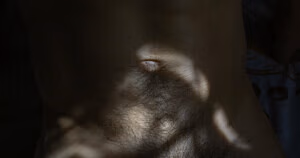 Flexeducation's pic #1562792